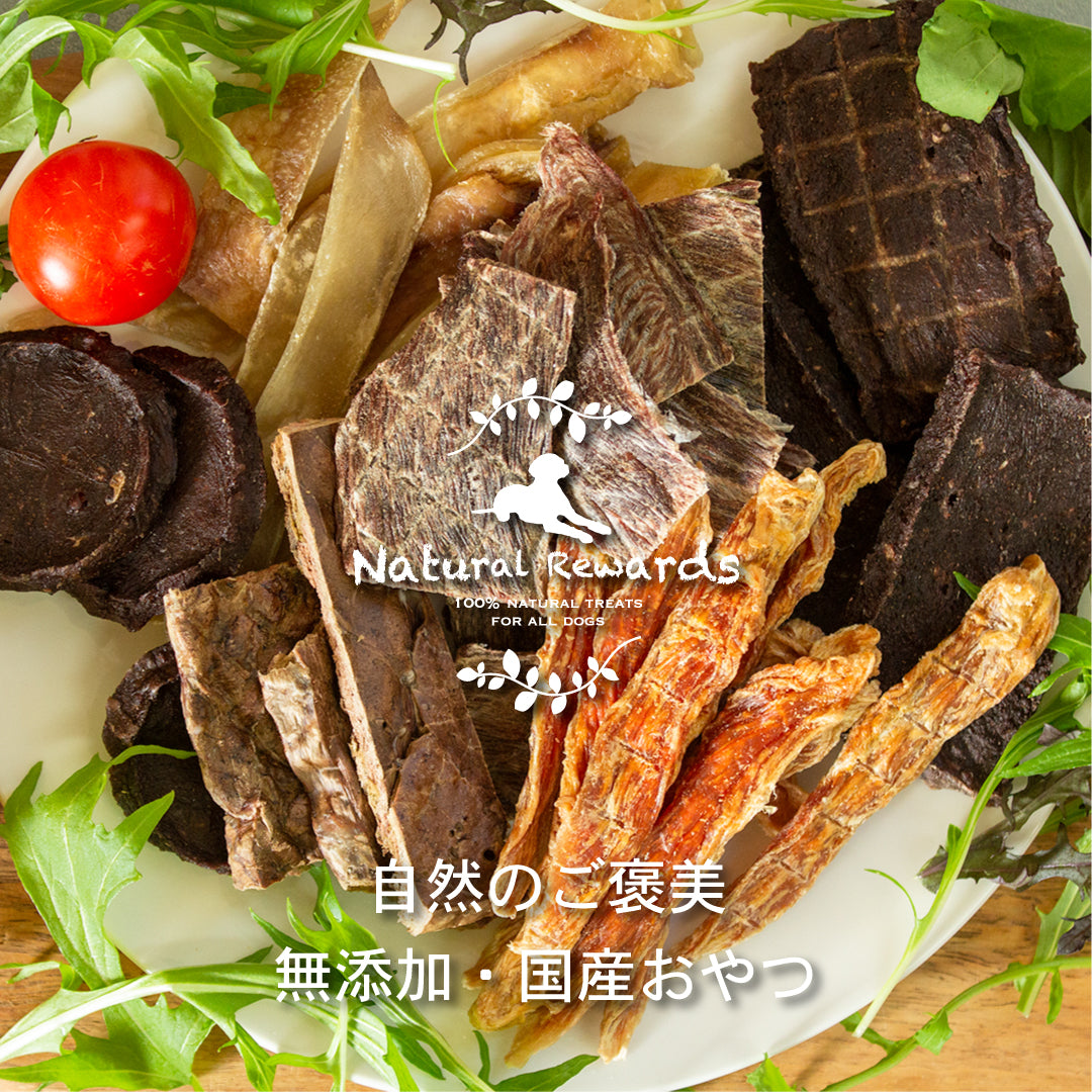 無添加・国産おやつ3袋選べるお試しセット「セレクト3」 Natural Rewards 犬・猫おやつ
