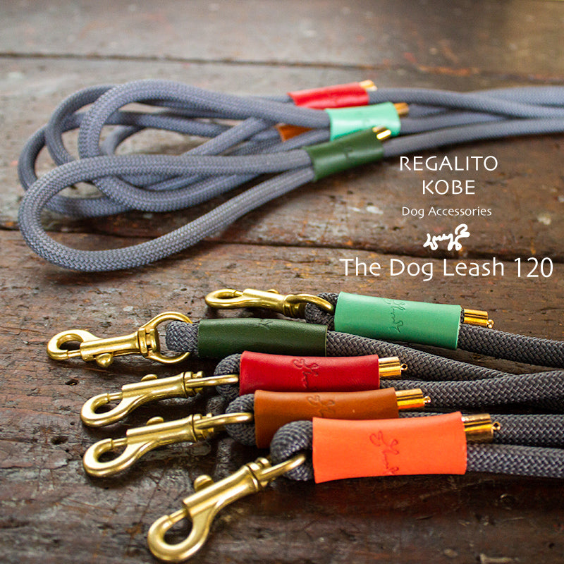 本革とロープのリード The Dog Leash 120
