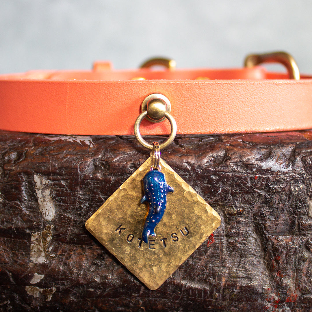 ジンベイザメの四角い迷子札 Regalito Kobe Whale Shark Square Tag