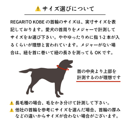 本革と真鍮の首輪　The Dog Collar