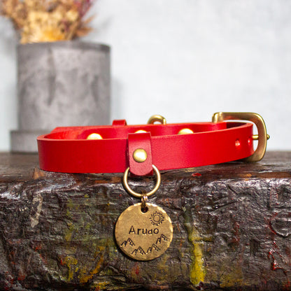 マークの刻印が選べるコイン型の迷子札　Regalito Kobe Coin Tag