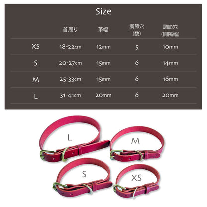 本革と真鍮の首輪　The Dog Collar