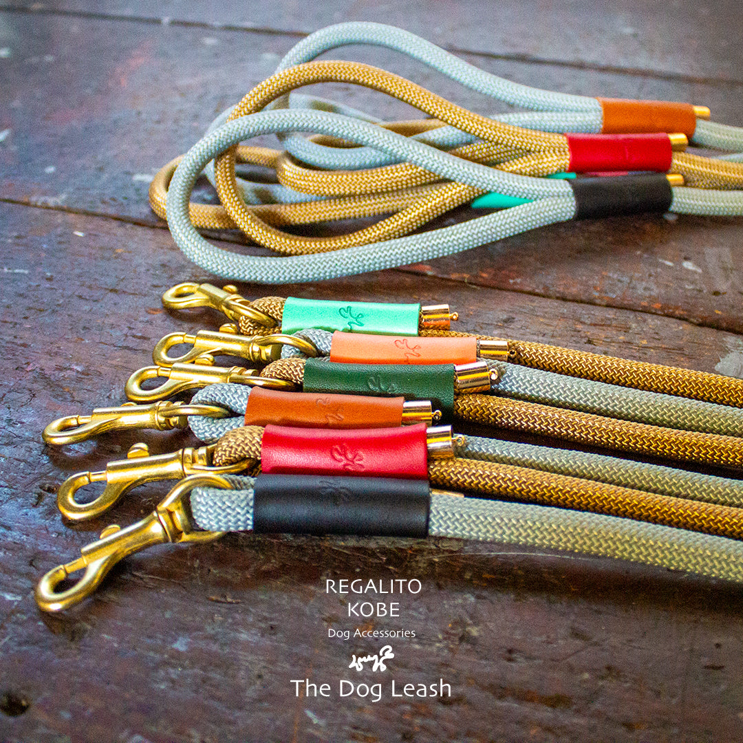 本革とロープのリード The Dog Leash 120 – dog label Kobe
