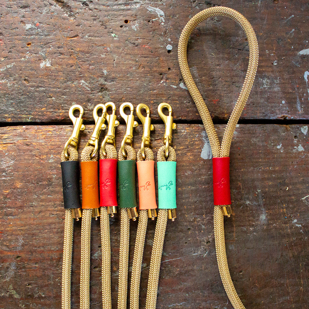 本革とロープのリード The Dog Leash 120