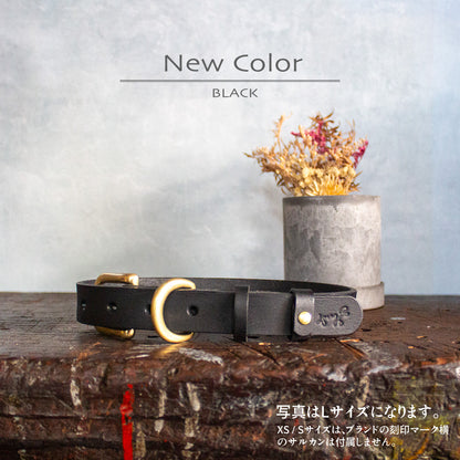 本革と真鍮の首輪　The Dog Collar