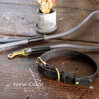 本革と真鍮の首輪　The Dog Collar