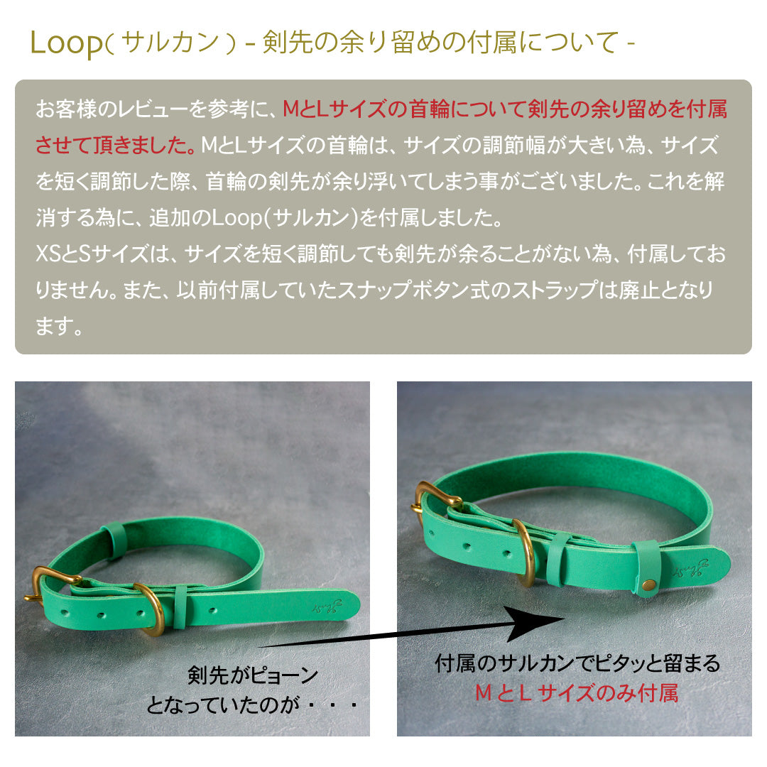 本革と真鍮の首輪　The Dog Collar