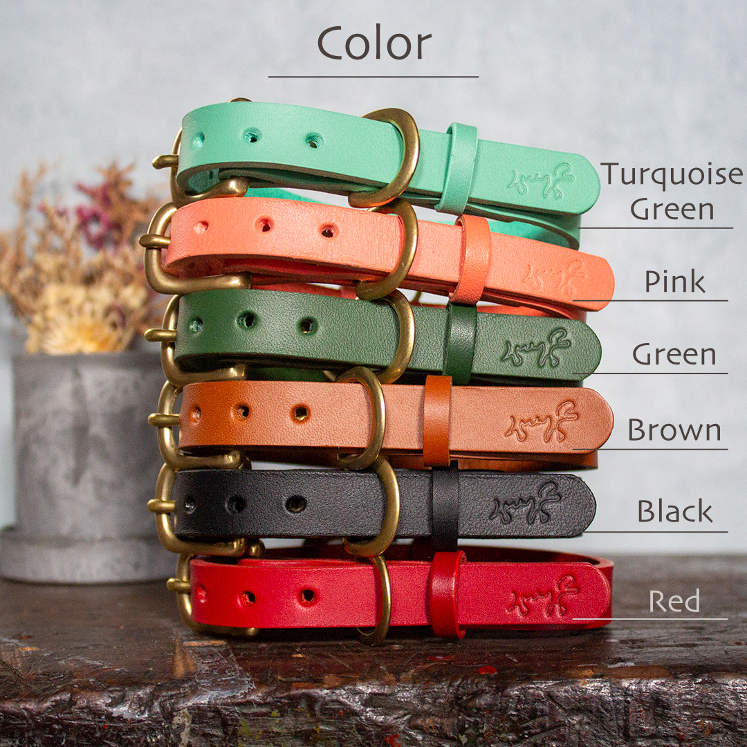 本革と真鍮の首輪　The Dog Collar