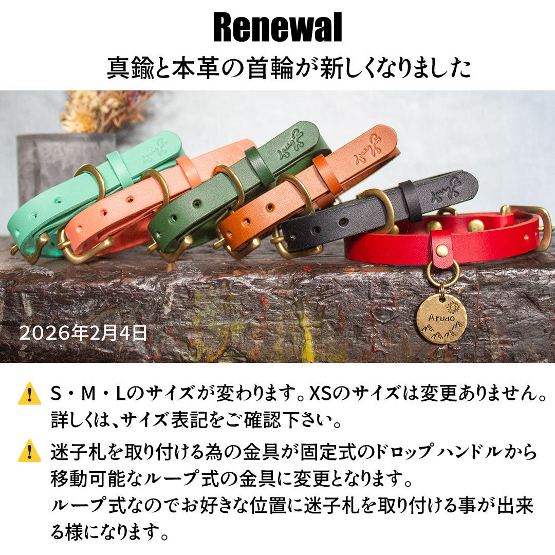 本革と真鍮の首輪　The Dog Collar