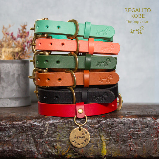 本革と真鍮の首輪　The Dog Collar