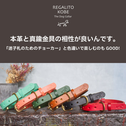 本革と真鍮の首輪　The Dog Collar