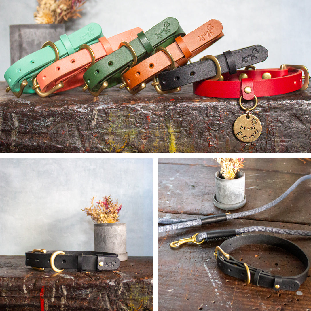 本革と真鍮の首輪　The Dog Collar
