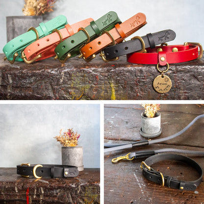 本革と真鍮の首輪　The Dog Collar