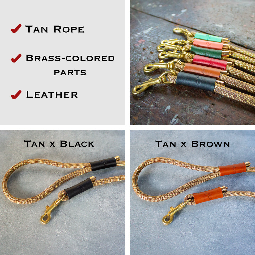 本革とロープのリード The Dog Leash 120