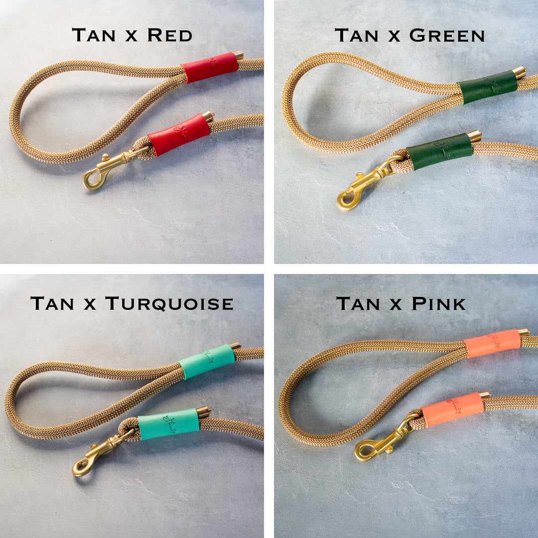 本革とロープのリード The Dog Leash 120